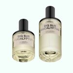 DS Durga Big Sur Eucalyptus eau de parfum