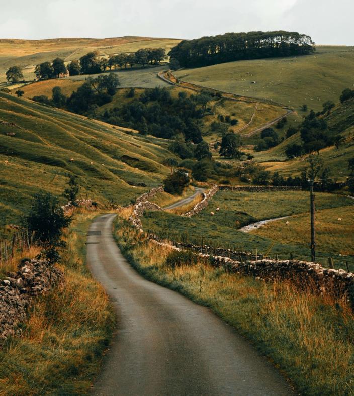 countryside