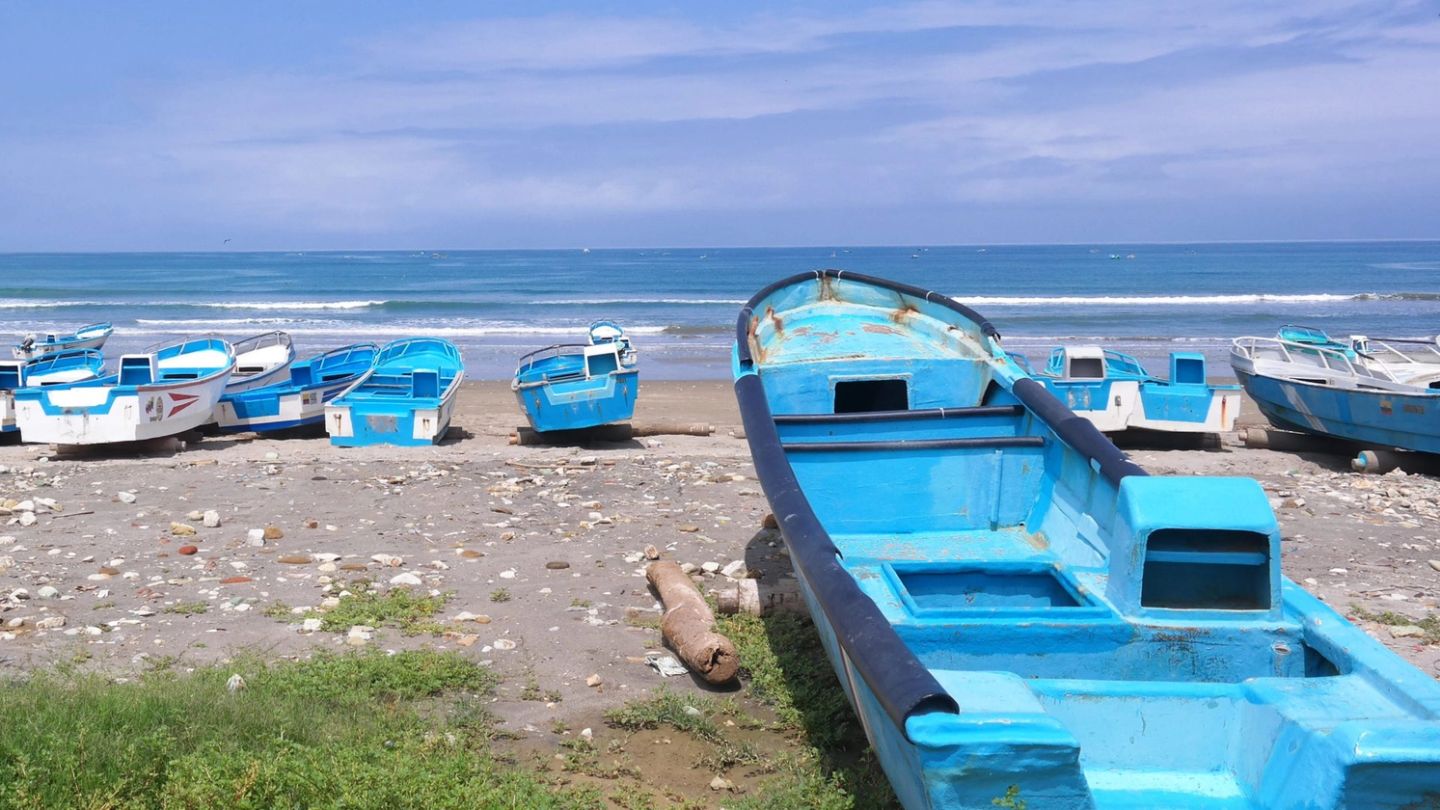 Here’s where you can find the freshest oysters in the world