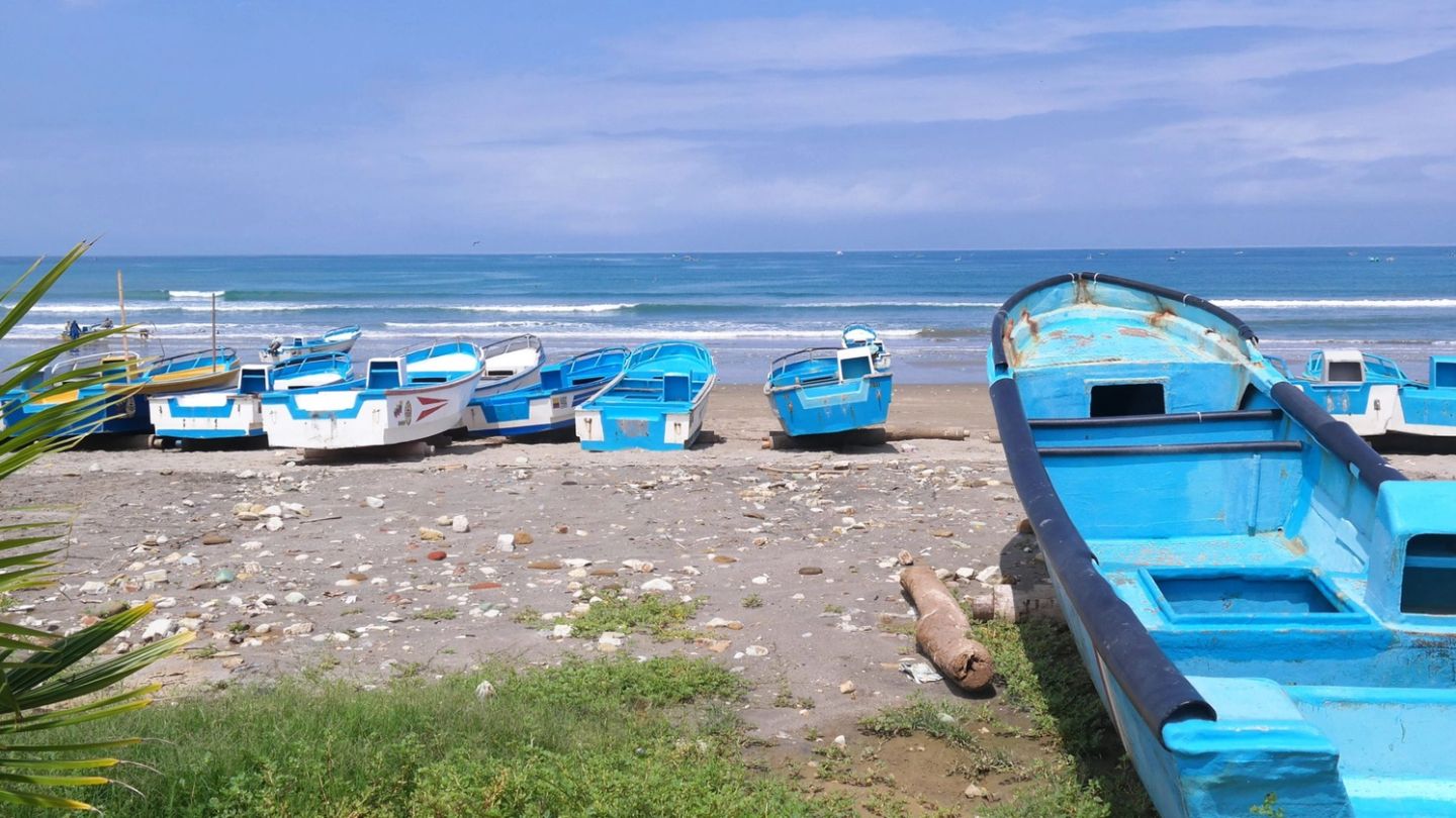 Here’s where you can find the freshest oysters in the world