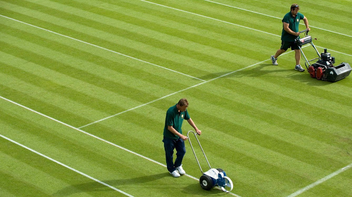 Order on the court! Under the net of Wimbledon