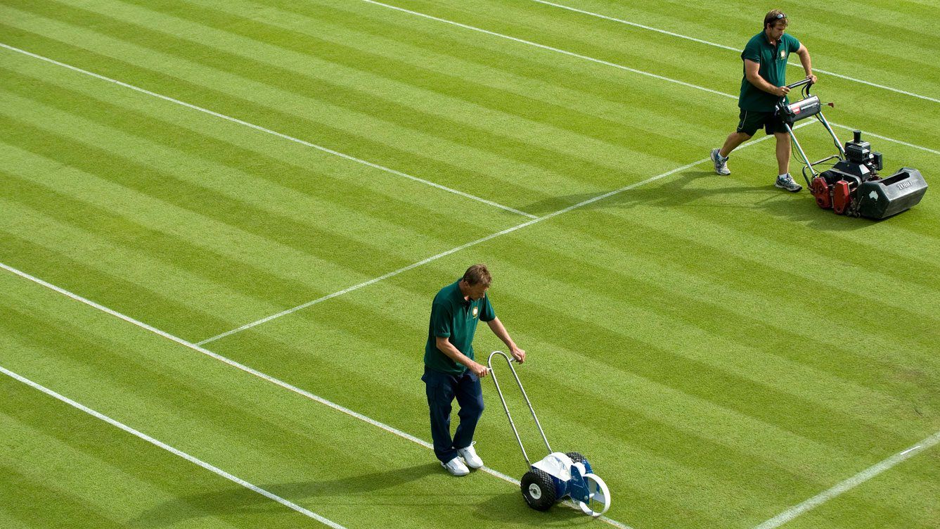 Order on the court! Under the net of Wimbledon