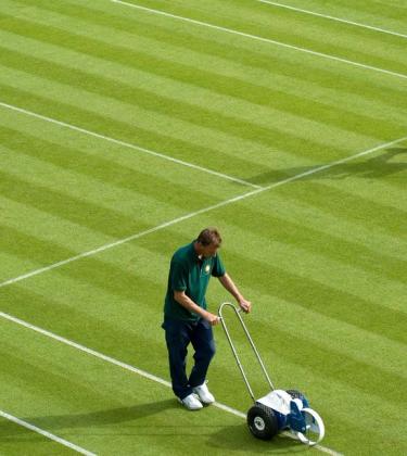 Order on the court! Under the net of Wimbledon