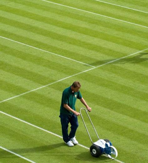 Order on the court! Under the net of Wimbledon