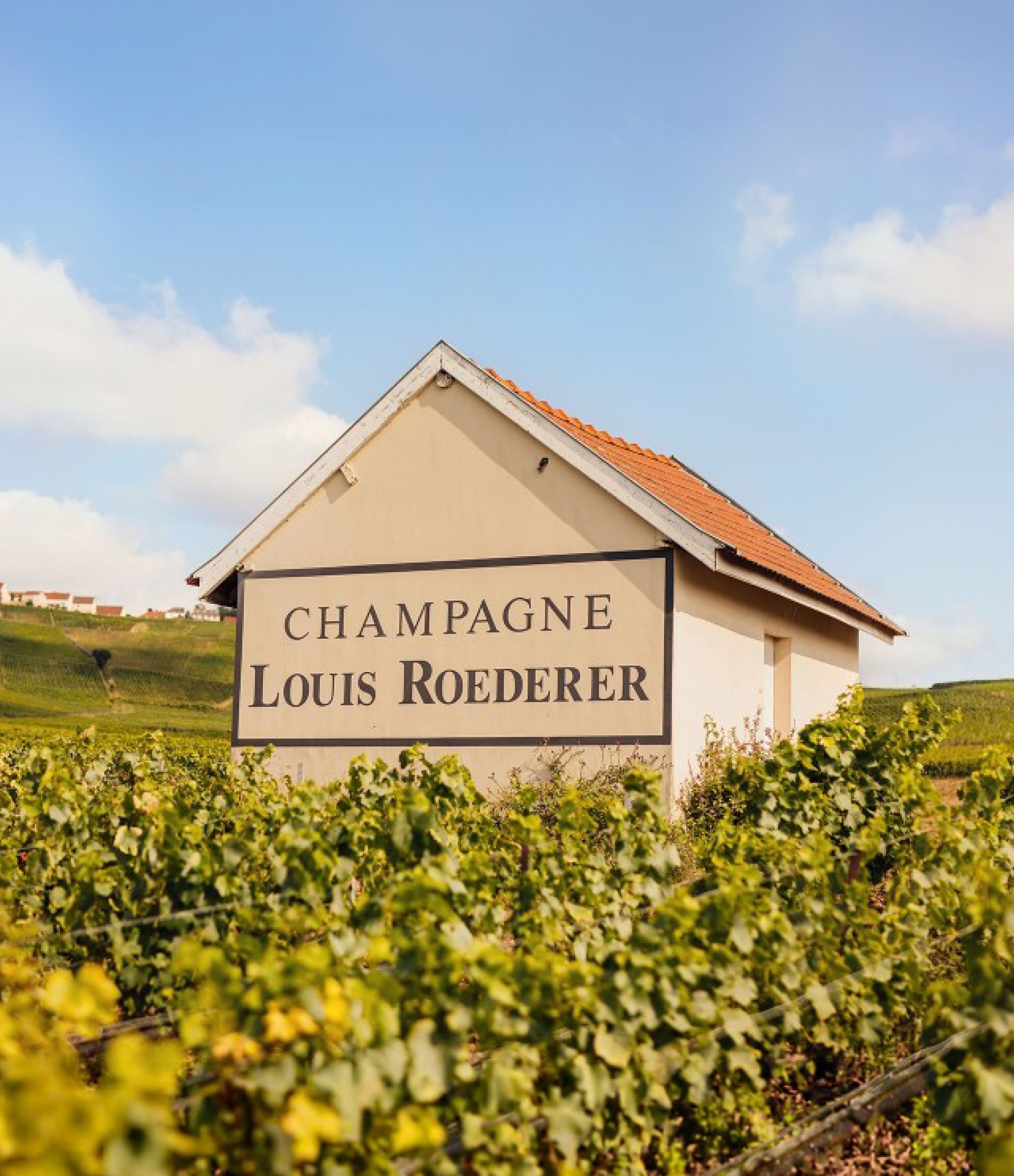 Louis Roederer vineyard building