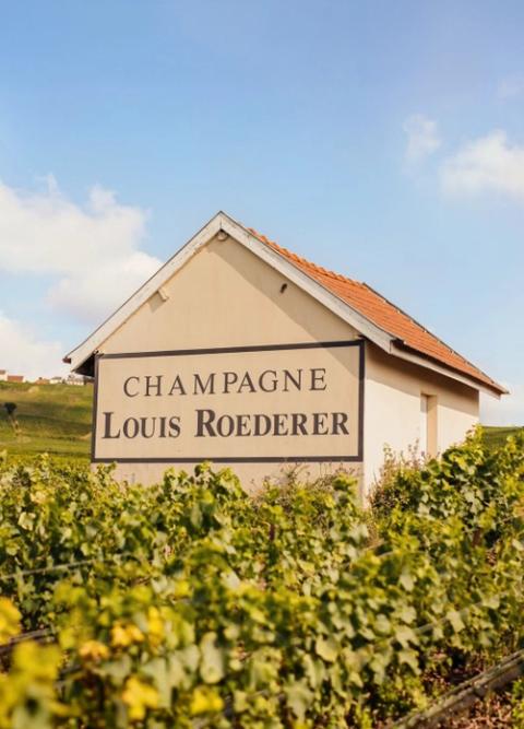 Louis Roederer vineyard building