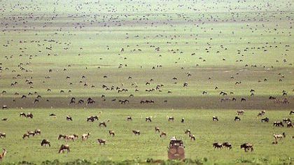 The 5 best luxury camps for witnessing the wildebeest migration