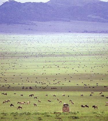 The 5 best luxury camps for witnessing the wildebeest migration