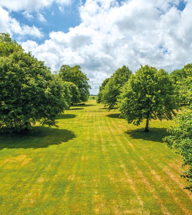 dorset property west woodyates manor knight frank