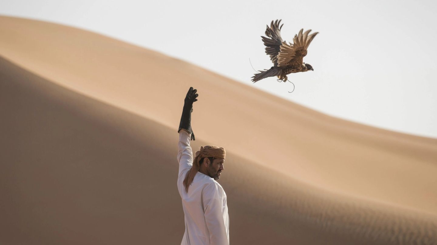 Arabian Flights: Inside the lucrative world of Middle-Eastern falconry