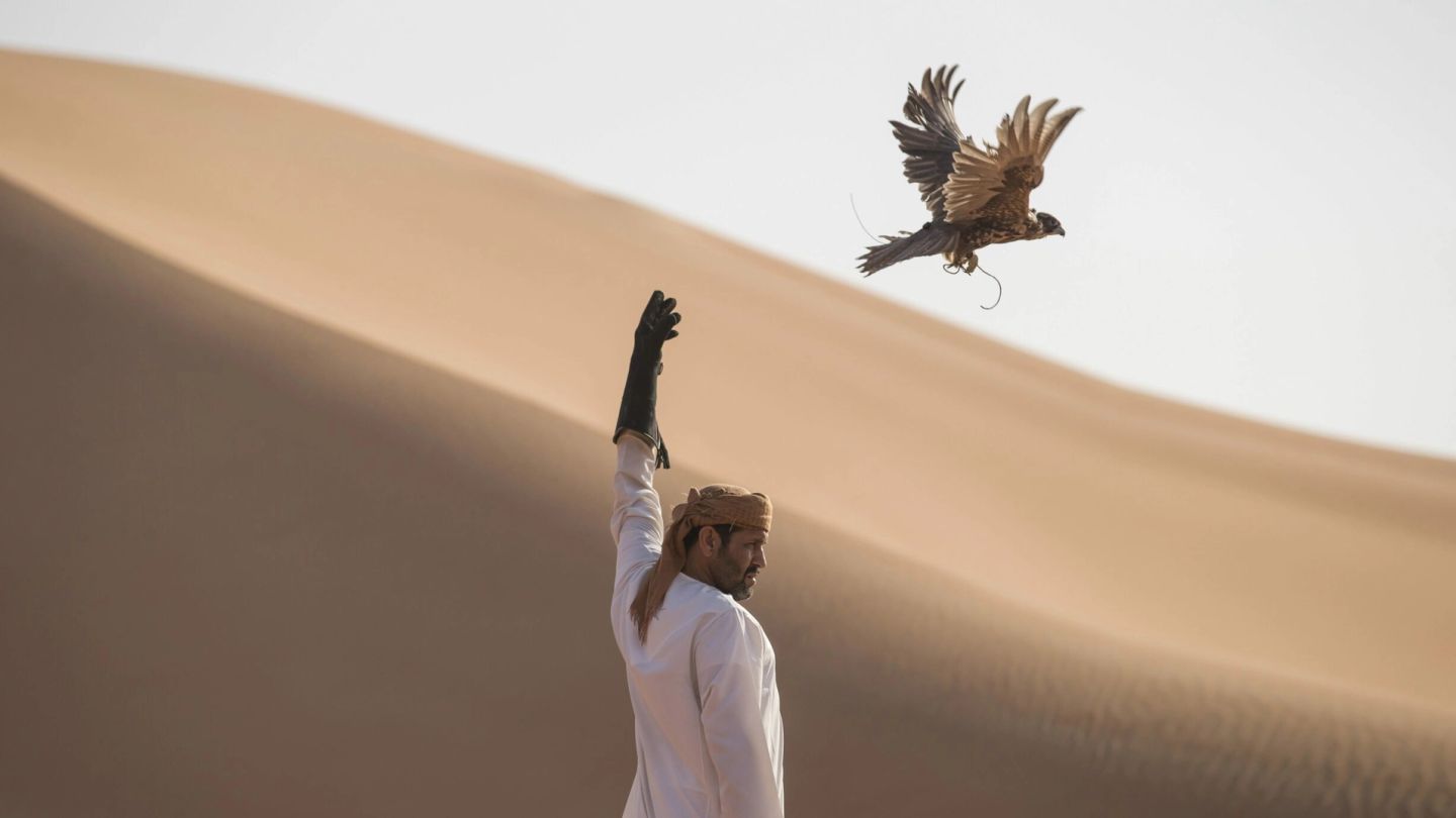 Arabian Flights: Inside the lucrative world of Middle-Eastern falconry