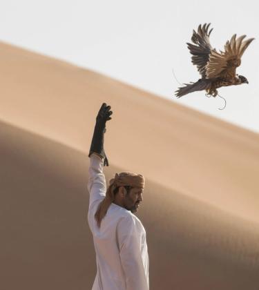 Arabian Flights: Inside the lucrative world of Middle-Eastern falconry