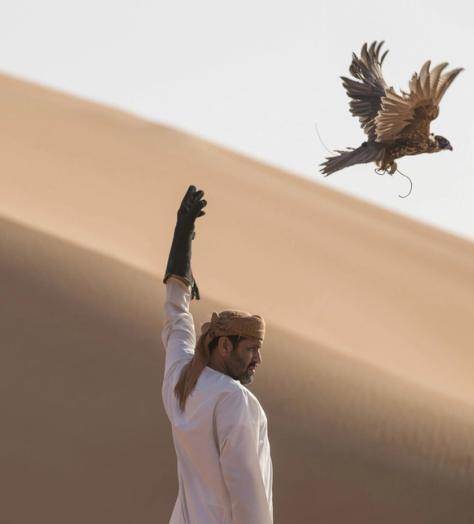 Arabian Flights: Inside the lucrative world of Middle-Eastern falconry