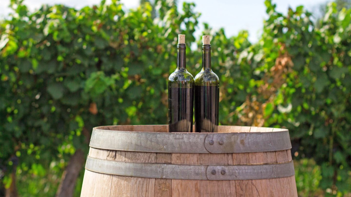 Here’s why you should be drinking organic wine