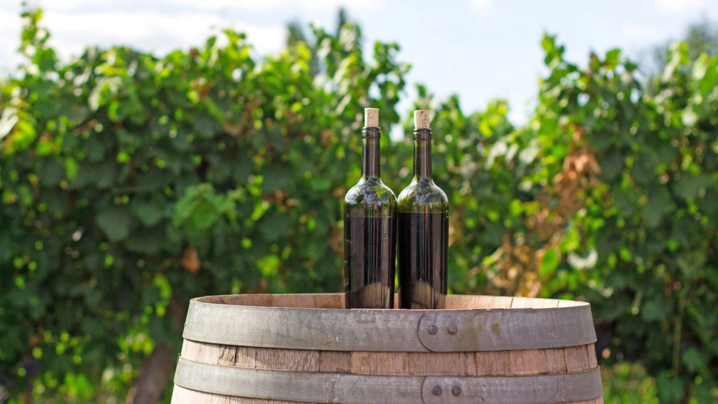 Here’s why you should be drinking organic wine