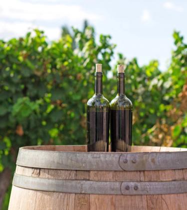 Here’s why you should be drinking organic wine