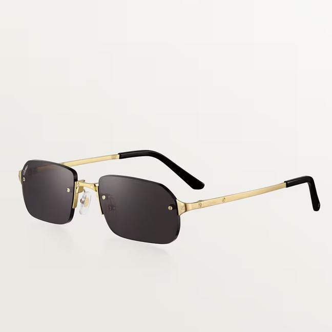 Santos de Cartier sunglasses