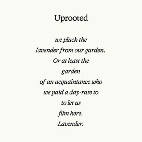 Instagram Poet