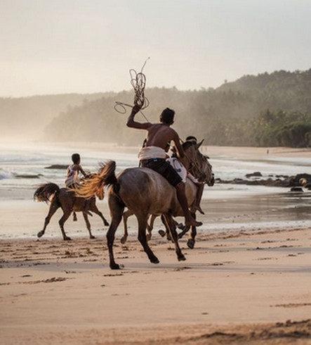 Nihiwatu – on the edge of wildness