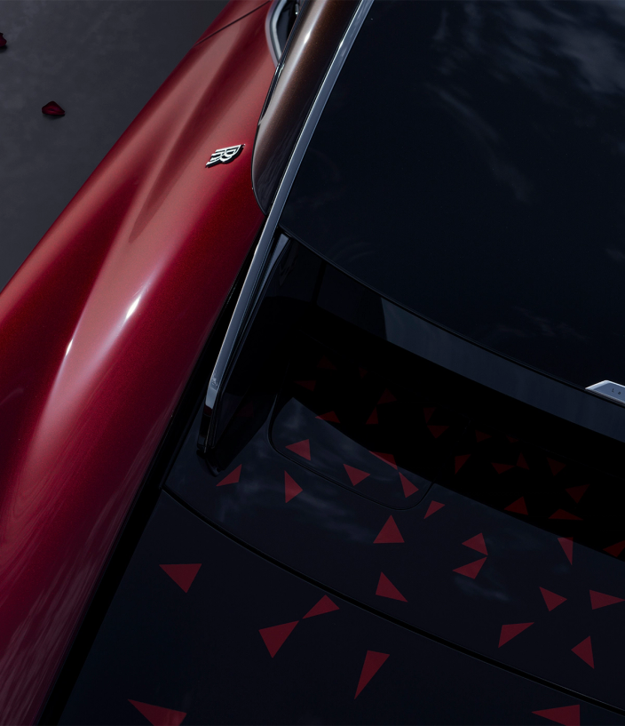 Roof of the Rolls-Royce La Rose Noire