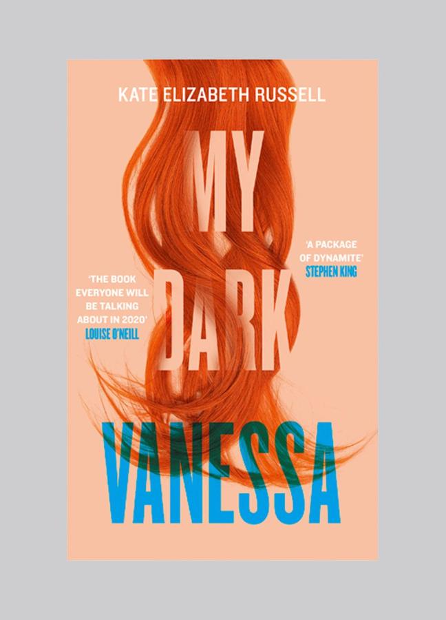 my dark vanessa