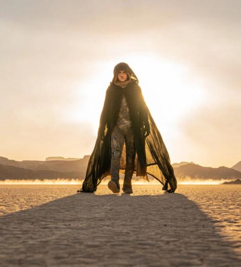 Deserts and combat aside, Dune is the most stylish sci-fi film, well, ever