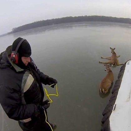 Amazing GoPro video of Hovercraft Deer Rescue