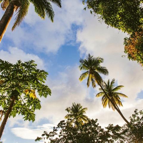 St Lucia