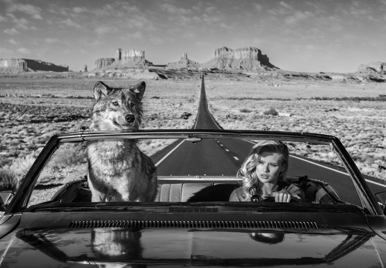 david yarrow photographs