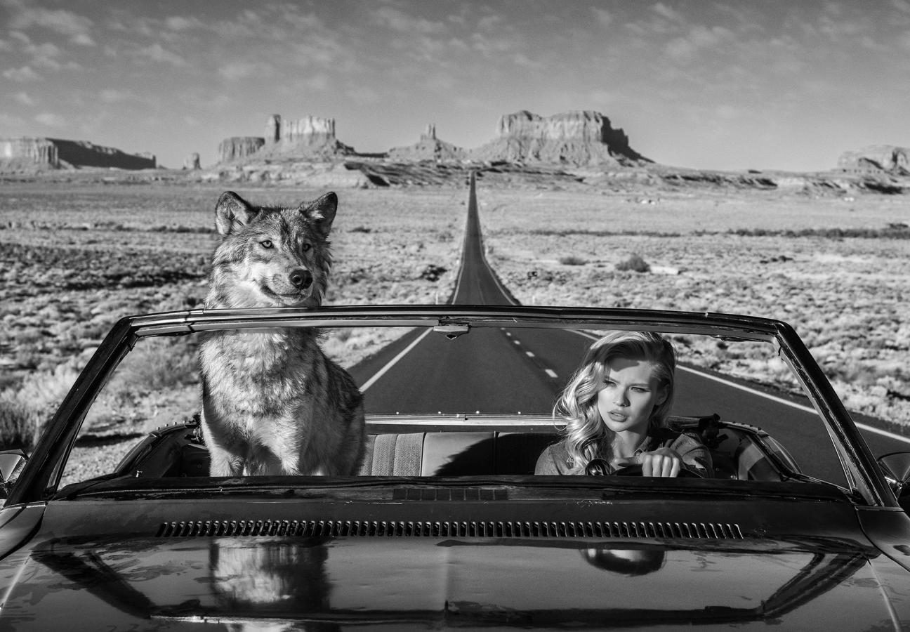david yarrow photographs