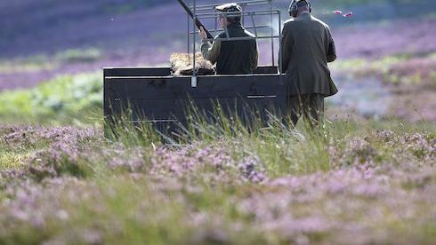 CAUGHT ON CAMERA: The magic of the moor