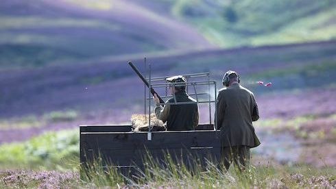 CAUGHT ON CAMERA: The magic of the moor