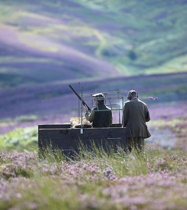 CAUGHT ON CAMERA: The magic of the moor