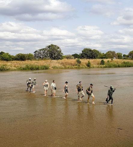 5 ways to do African safari differently
