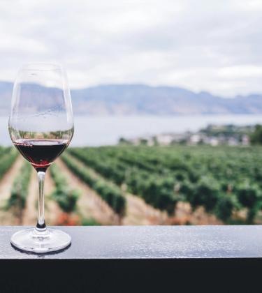 The secret of ageing: Vintages that grow old gracefully