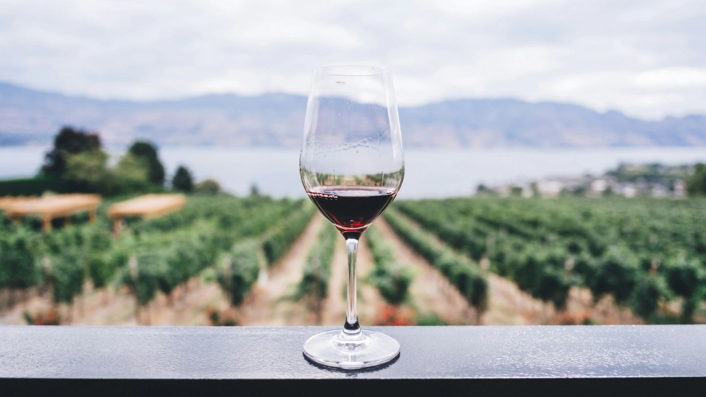 The secret of ageing: Vintages that grow old gracefully
