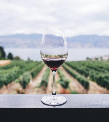 The secret of ageing: Vintages that grow old gracefully