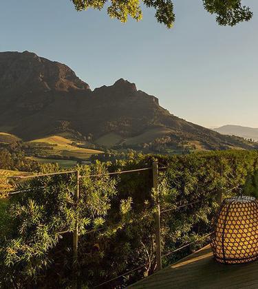 Inside the Delaire Graff Estate, and the best wines they produce