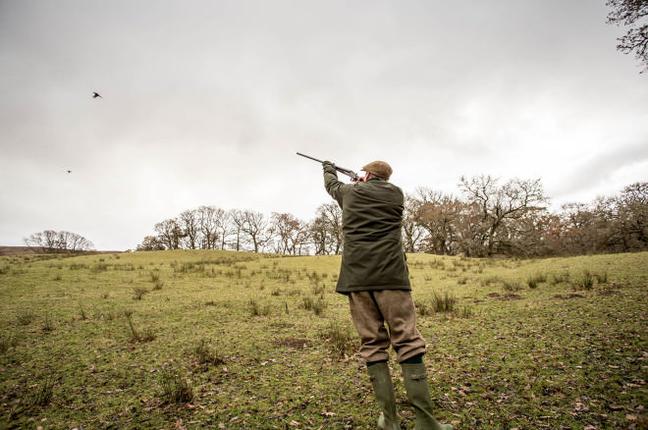 pheasant-shooting-great-britian