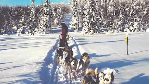 Life’s too short for ordinary holidays