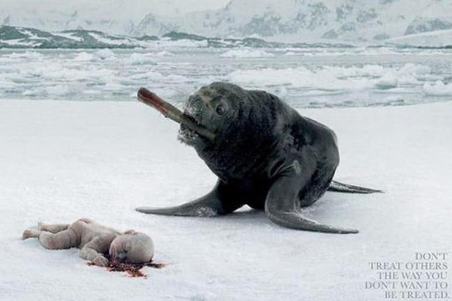 shocking advert - TGJ.10