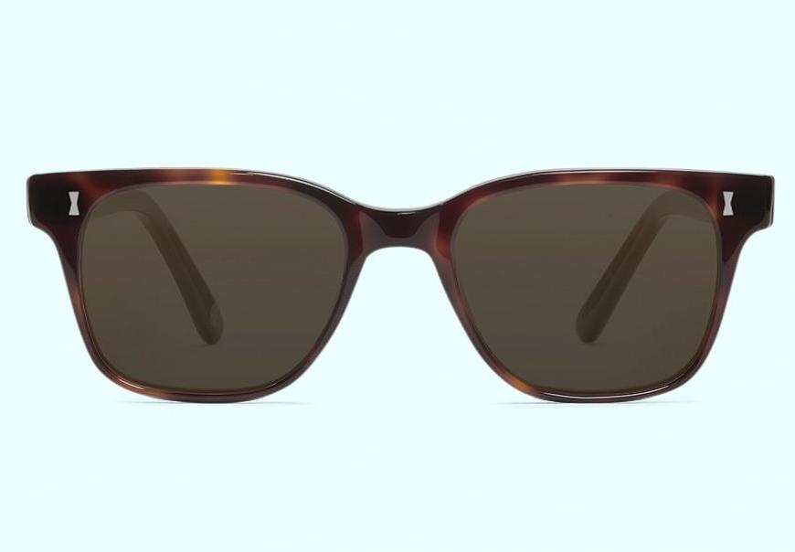 cubitts sunglasses