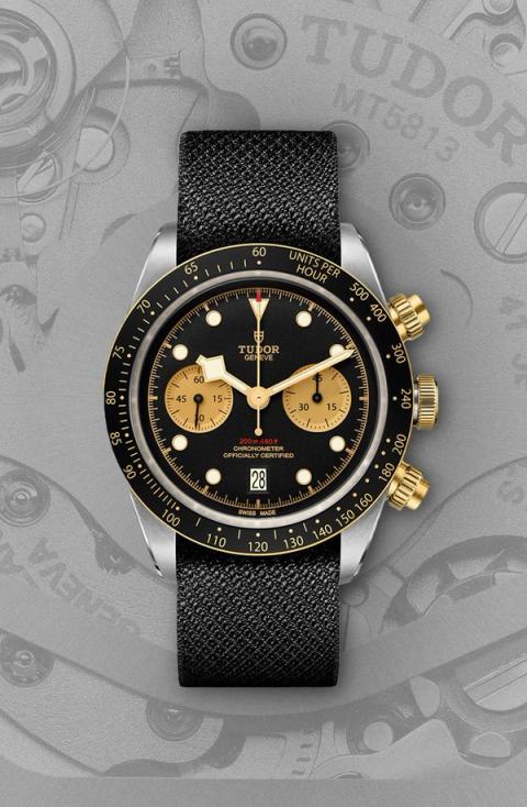 Tudor Black Bay S&G