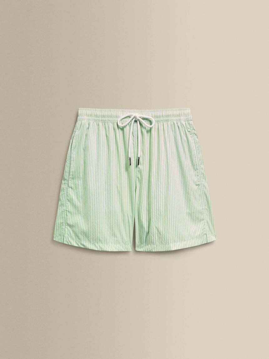 Green Stripe Nylon Mid-Length Swim Shorts