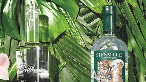 The best gins you can buy (and still have change from £40)