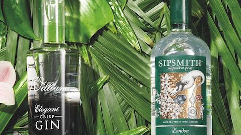 The best gins you can buy (and still have change from £40)