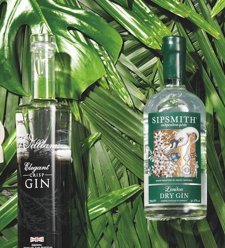 The best gins you can buy (and still have change from £40)