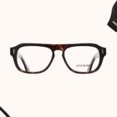 Cutler And Gross Dark Turtle