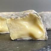 Cheese-making Course with Wildes Cheese