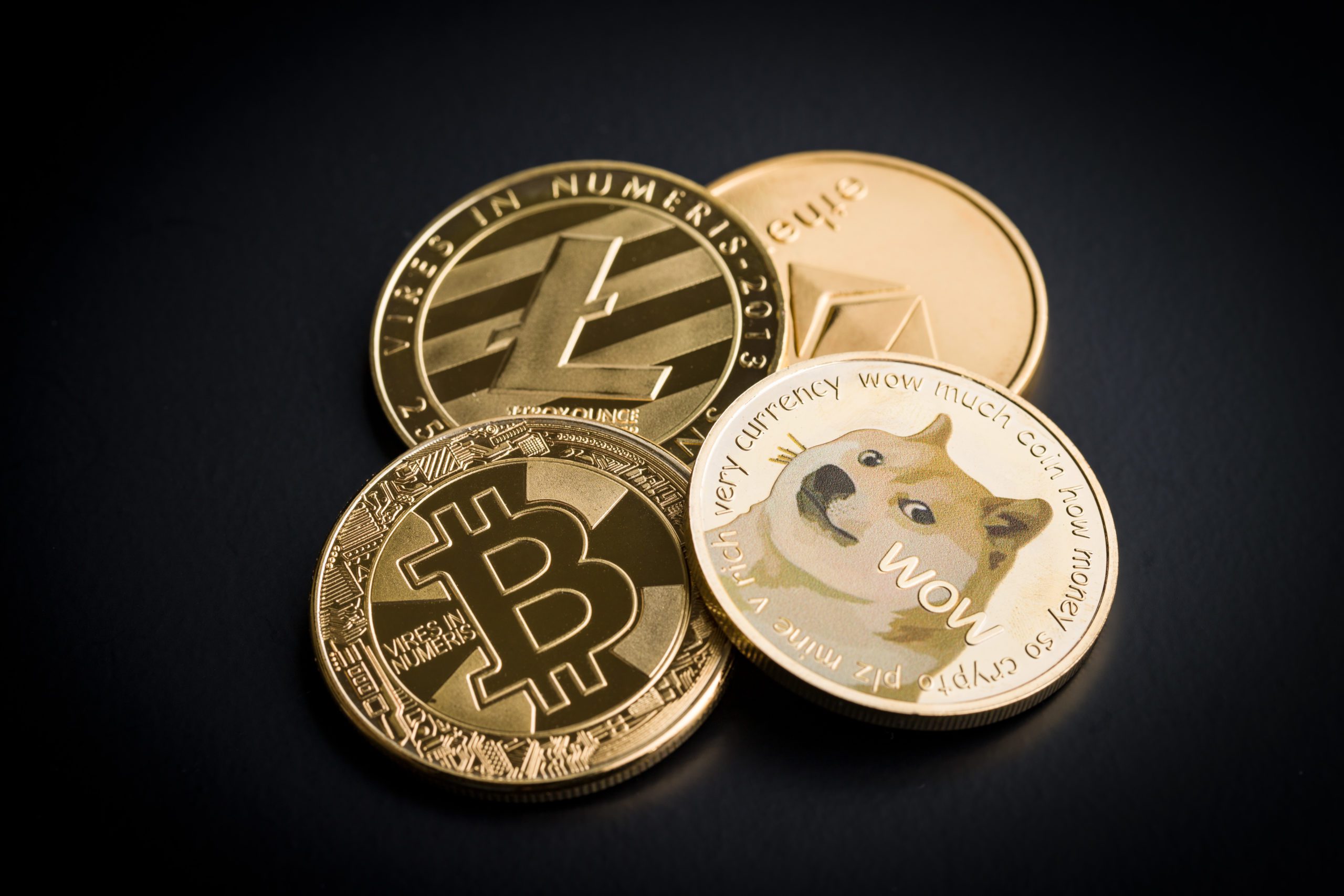 A dog-eat-dog world: the rise and fall and rise of Dogecoin